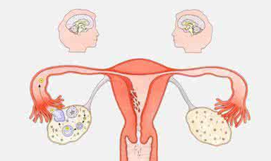 陰道分泌物草莓视频APP免费檢測白帶帶血怎麽回事？