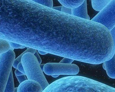 陰道分泌物草莓视频APP免费廠家提醒細菌性陰道炎注意些什麽？