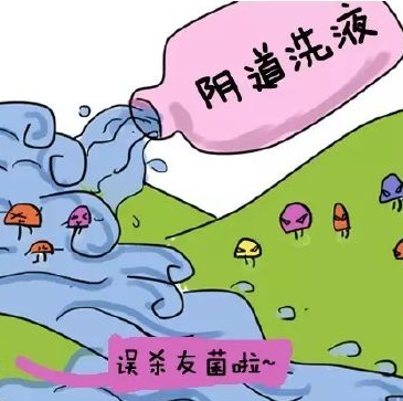 陰道分泌物草莓视频APP免费提醒哪些信號女性應該進行陰道清潔度檢查