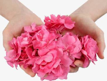 陰道分泌物草莓视频APP免费品牌山東草莓视频在线观看免费视频教女性辨別婦科炎症