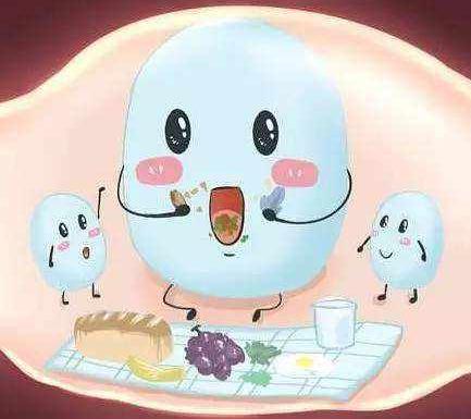 陰道分泌物草莓视频APP免费分析細菌性陰道病（BV）的特性