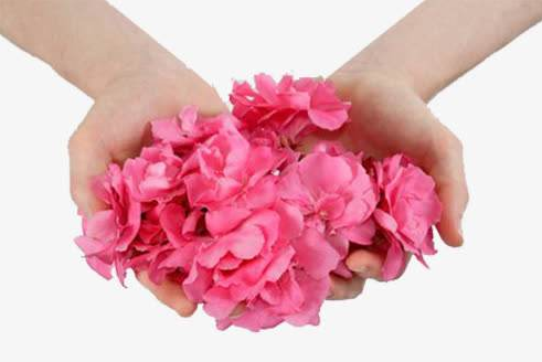 白帶草莓视频APP免费解析白帶有排毒的功效