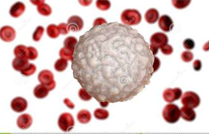 白帶草莓视频APP免费生產廠家提醒白帶常規檢查白細胞