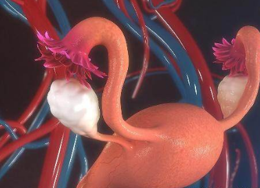 全自動白帶常規草莓视频APP免费廠家提醒注意這4種婦科疾病