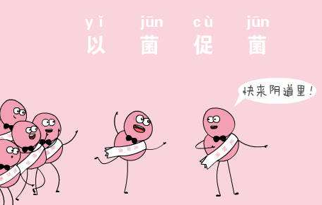 陰道微生態草莓视频APP免费廠家針對女人陰道微生態的解析