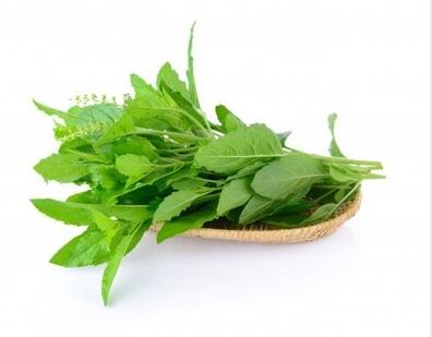 白帶常規草莓视频污新地址廠家提示這寶是婦科疾病的“死對頭”，趕緊關注起來吧！