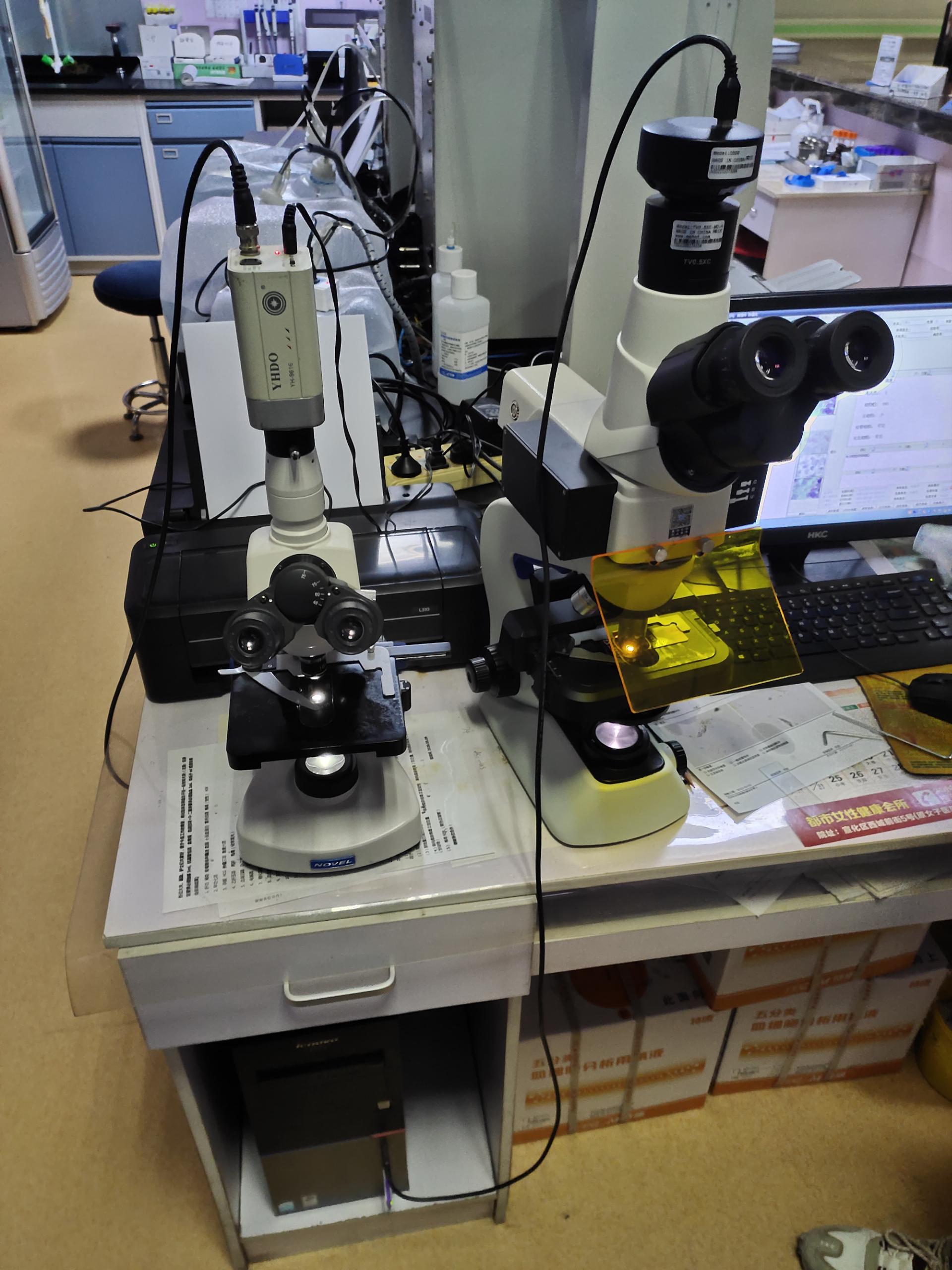 山東草莓视频在线观看免费视频陰道分泌物草莓视频APP免费全麵檢測，婦科健康保駕護航！