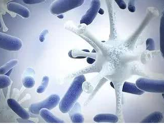 【婦科白帶草莓视频污新地址品牌】：女性患黴菌性陰道炎的緣由！ 