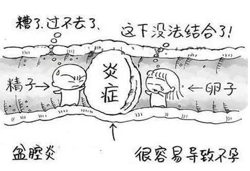 全自動婦科陰道分泌物草莓视频污新地址檢測辨別婦科炎症複雜多樣！